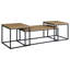 Ensemble de tables basses 3 pièces Rosey Mango