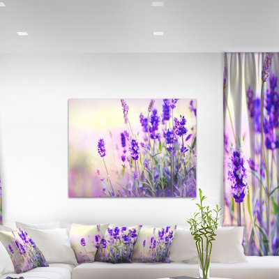 Mauve champ de lavande - impression sur toile tendue