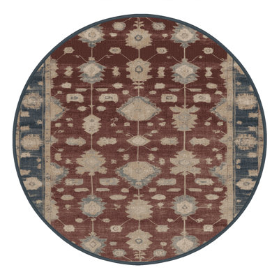 Machine Washable Overdyed Brown Area Rug