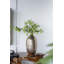 Vase élégant avec un design transitionnel et une finition métallique, parfait pour les décors classiques seuls ou groupés avec d'autres