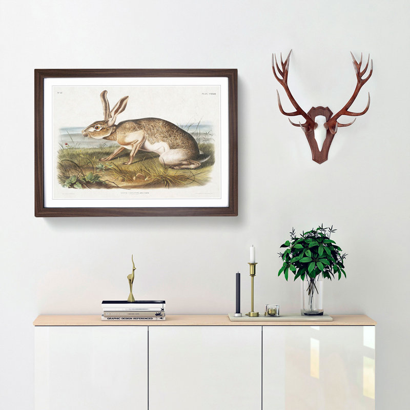 Texan Hare by J.W. Audubon - Picture Frame Art Print, Walnut Framed, 27cm H x 36cm W x 2cm D