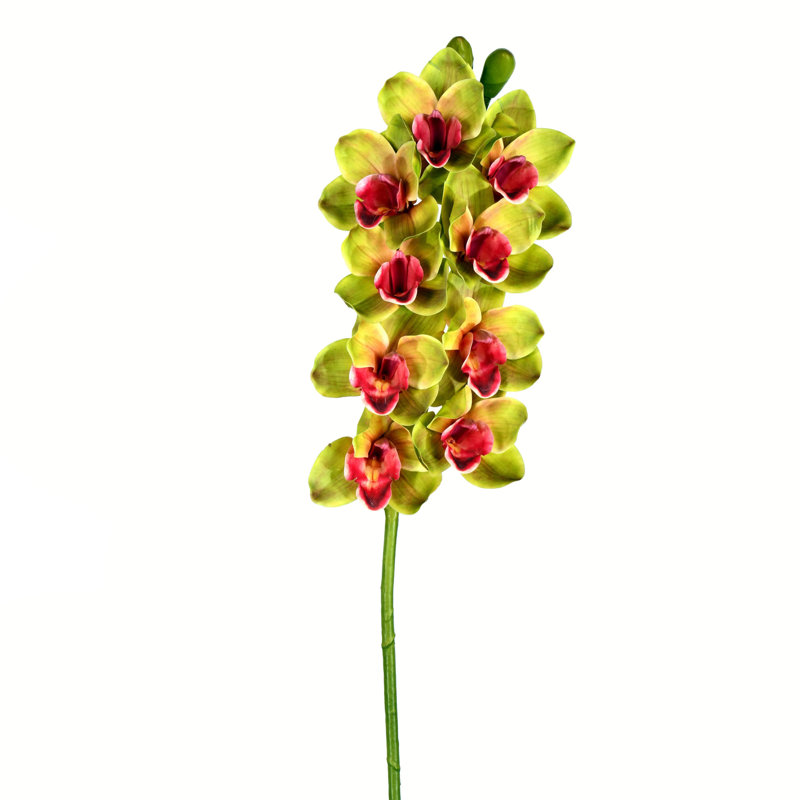 Tige de cymbidium artificielle 33 po, véritable toucher, Vert