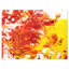 Texture abstraite, reproduction d’art sur toile tendue-16523360