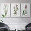 " Rose Botanical I " 3 - Pieces-91891245-91891242