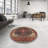 Oriental Indoor Rug-1665293905