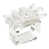 Clear/White is out of stock
