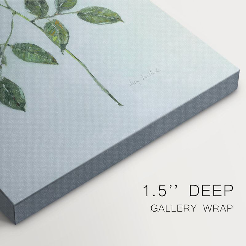 Rose Beauty I - Galas enveloppés de galerie, H 27 po x l 18 po