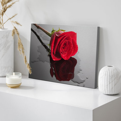 Flower Blossom " Red Rose Close Up With Water Floral Botanical Photography Modern Art Scenic Relax Calm Dark "