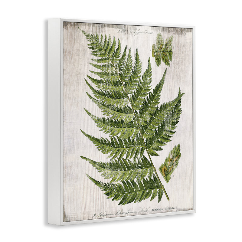  Feuille de fougère patinée, art de la giclée par Susan Arnot, H 14 po x l 11 po