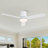 Jazyon 48'' Ceiling Fan with Light Kit-483904215