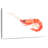 Brampt Orange Shrimp-108942672