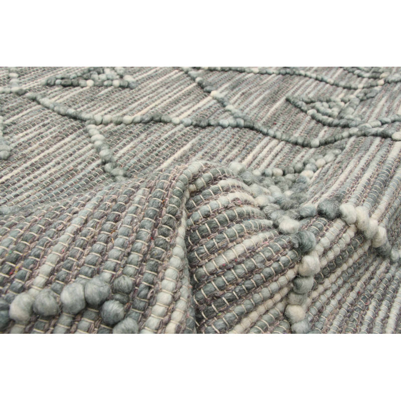 Hailah Performance Hand Braided Wool Rug