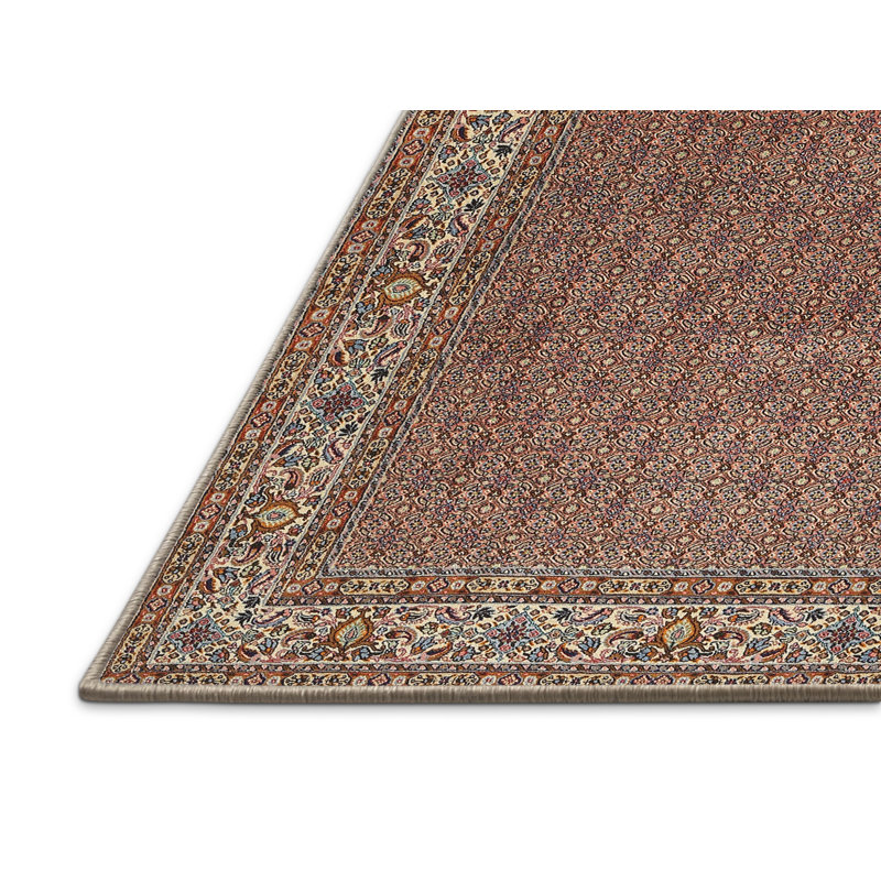 Tapis brun/crème/gris traditionnel, Rectangle 5 pi x 7 pi