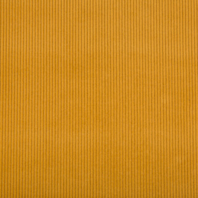 Saranac Cord Fabric