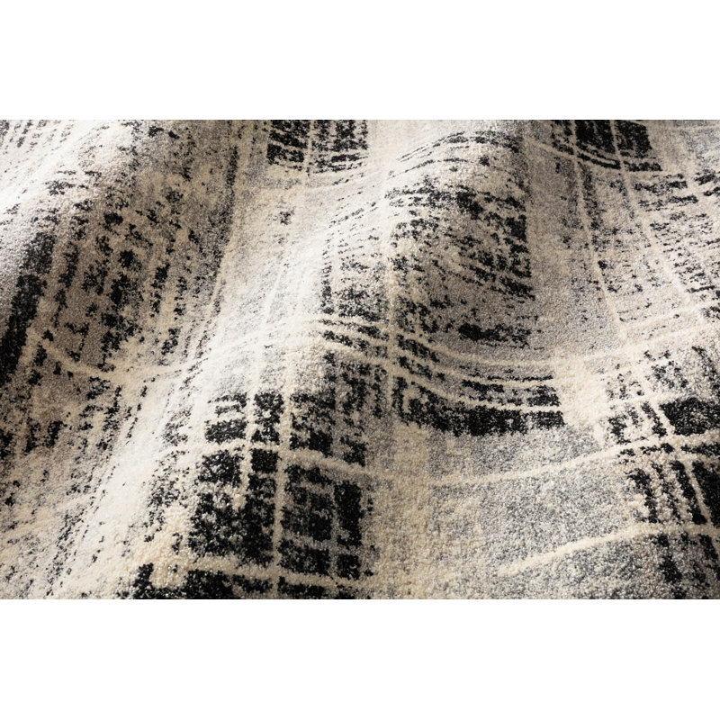 Aparicio Plaid Indoor Rug, Rectangle 8'11" x 12'5"