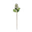 Tige de fleur artificielle Cole et Grey-1192675292-1192675288