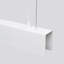 1 - Light Stainless Steel Pendant-905955287