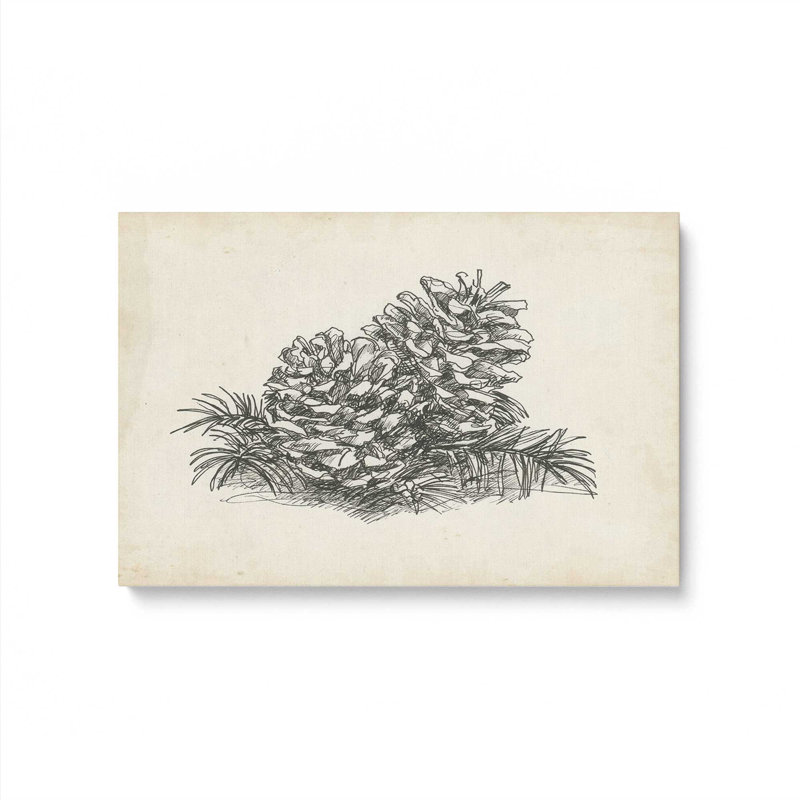 «Christmas Conifers I» par Ethan Harper, reproduction d'art sur toile, H 20 po x l 30 po, Toile tendue, Sans objet