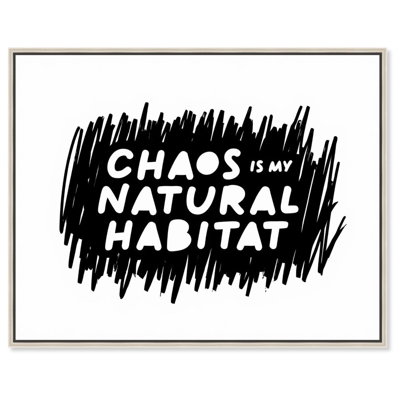 Chaos Core, reproduction d'art sur toile, citations amusantes par Art Remedy, H 25 po x l 31 po, Cadre argenté