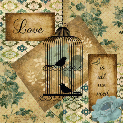 " Birdcage Love Is All We Need "