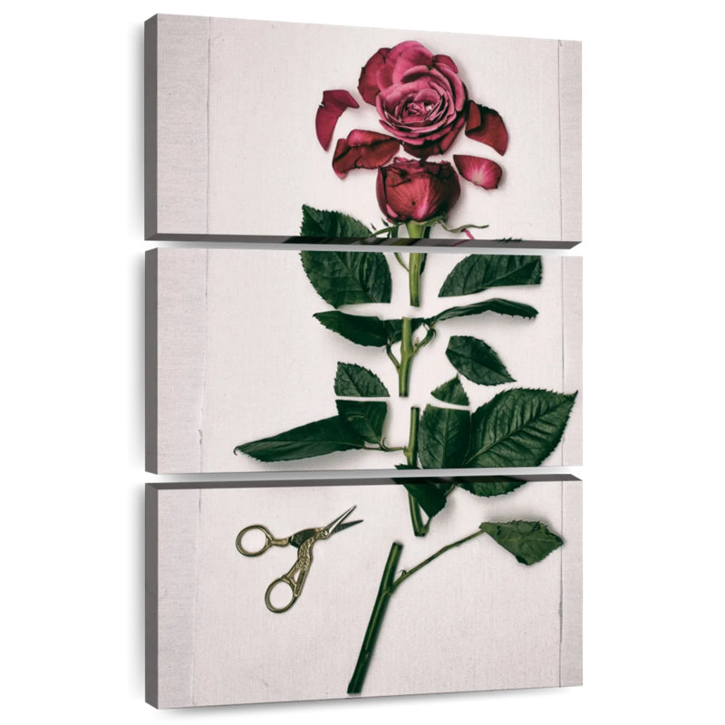 Rose Harnek, H 32 po x l 20 po