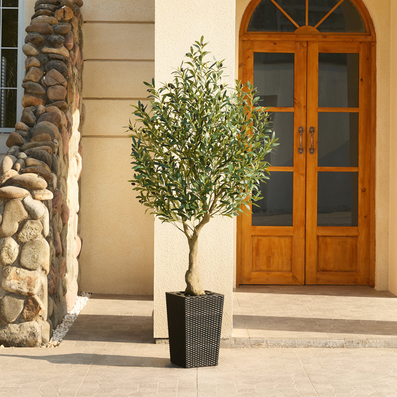Olivier artificiel Adcock, faux olivier résistant aux rayons UV avec jardinière conique, Noir, H 72 po x l 16 po x P 24 po