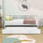 Jaye Wooden Daybed with Twin Size Trundle-162183934-162183905