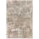 Annu Abstract Beige Area Rug
