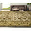 Hand Knotted Area Rug in Ivory And Gold