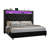 Mansuur Upholstered Platform Storage Bed-1023355786-1023355791