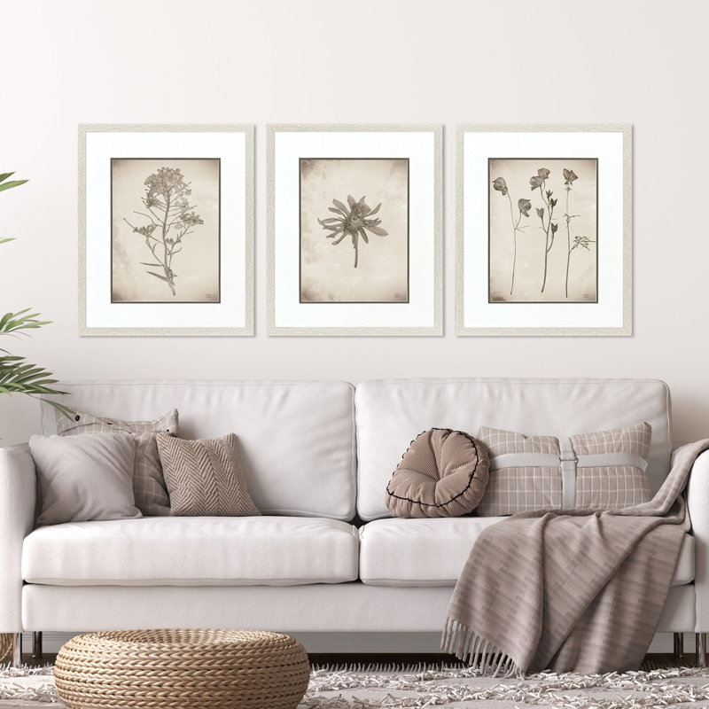 Wildflower Stems I Framed Art