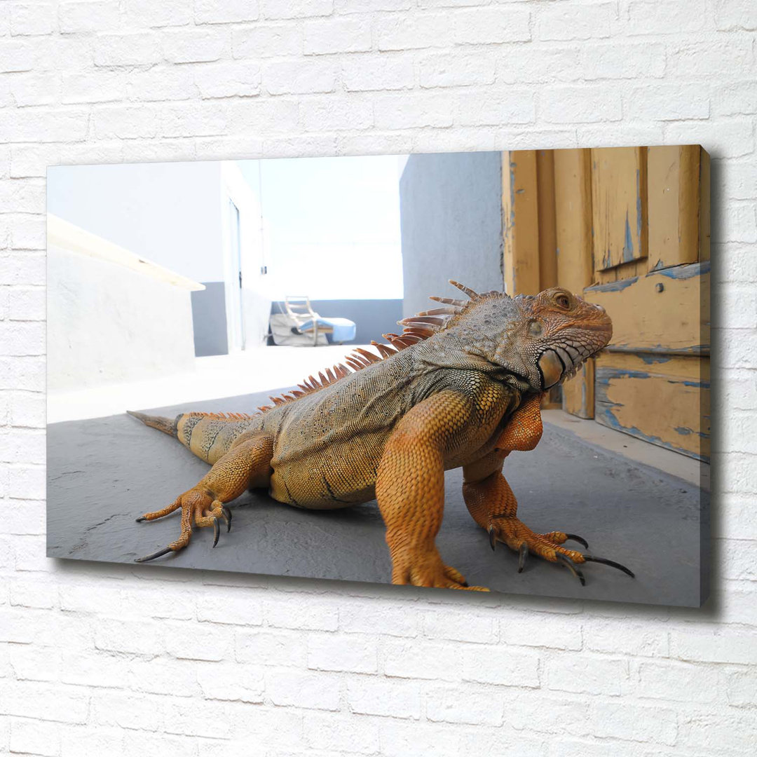 Leguan - Kunstdrucke auf Leinwand - Wrapped Canvas