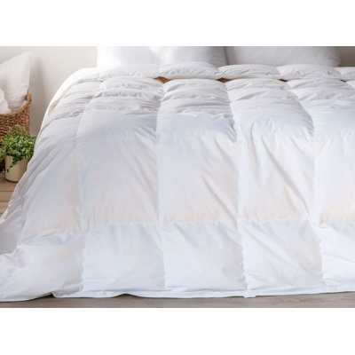 Insert de couette toutes saisons en duvet et plumes