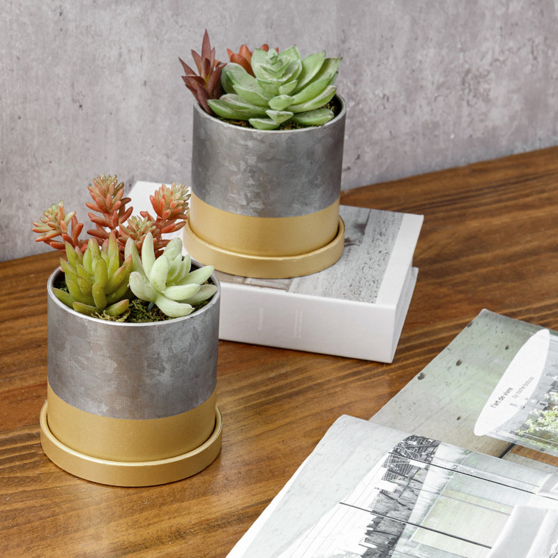 Pot Planter