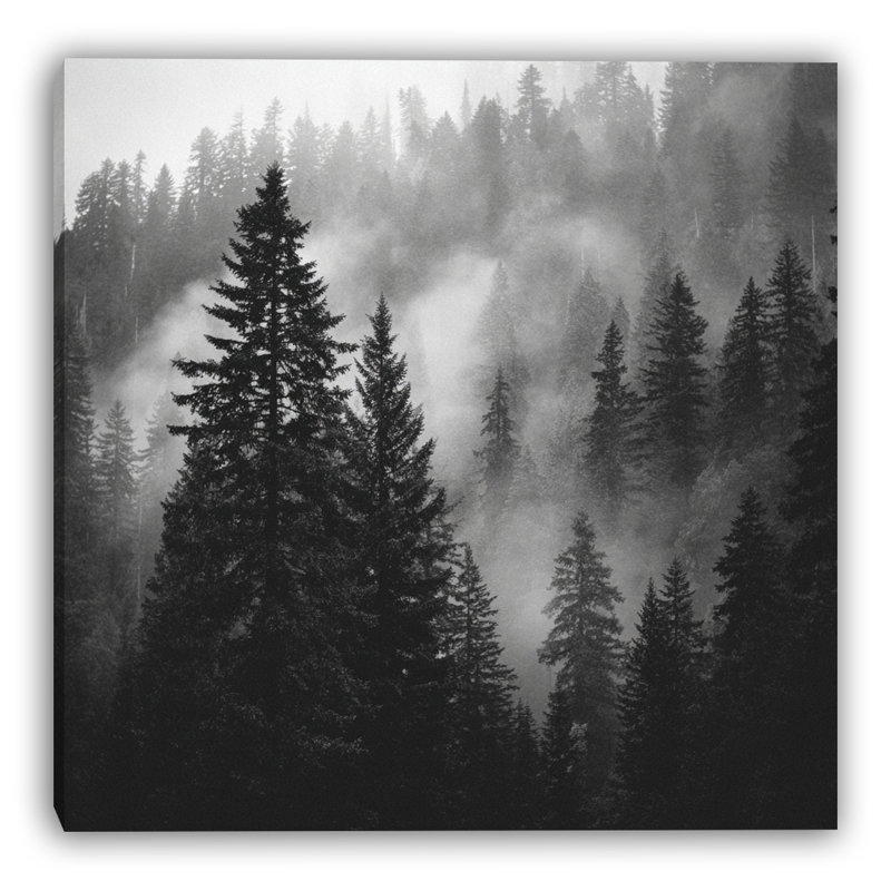 Art mural sur toile Valley Mist, H 30 po x l 30 po