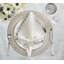 Arches Napkin-917070798