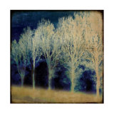 Indigo Path I Print by Mari Urasawa