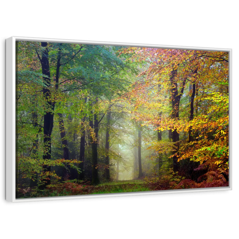 Forêt colorée de Brocéliande, Cadre flottant blanc, 19 po x 13 po