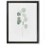 « mou eucalyptus branch i » par paul cezanne-cadre photo, reproduction d’art-693925080-693925085-693953563