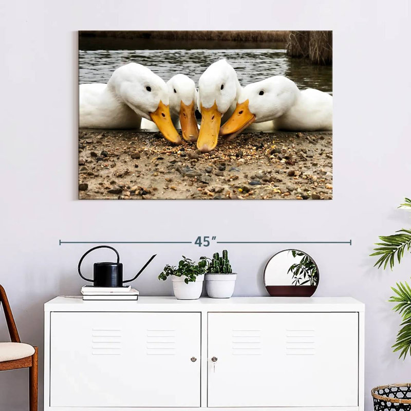 Pekin Ducks de Brampt, H 26 po x l 39 po