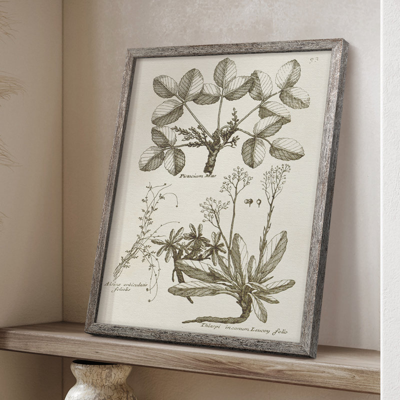 Sepia Botanical Journal VI Framed Print - Solid Wood, 15" H x 12" W