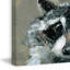 Look Raccoon by Julia Posokhova - Wrapped Canvas Painting-317732435