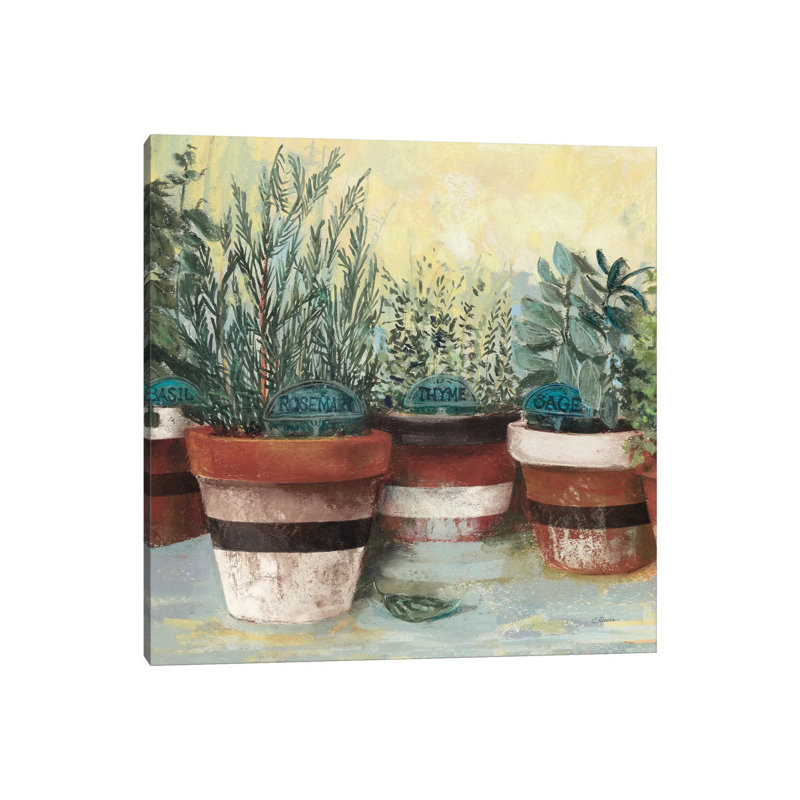 Potted Herbs II Stripes Crop by Carol Rowan - Wrapped Canvas Painting, 45.72 cm H x 45.72 cm W x 3.175 cm D