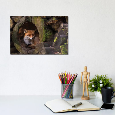 Fox- Gallery-Wrapped Canvas Giclée