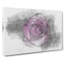 Purple Rose In The Shadows - Wrapped Canvas-56640453