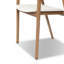 Amare Dining Armchair-1618145031-1618145030