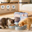 Anti-Skid Automatic Feeder