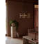Collector 5 - Light Chandelier