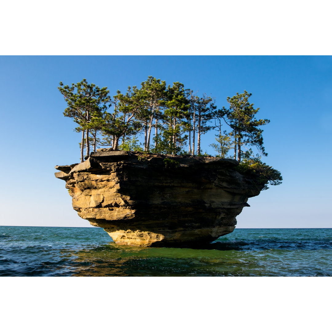 Turnip Rock von Dantesattic - Kunstdrucke