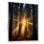 «God Rays Sunshine Through the Forest», art mural séquoia